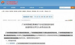 黄埔最新爆料,揭秘神秘项目，行业变革即将到来